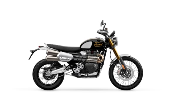 レビューの多い高評価商品特集！ Modern Ride the For | Classics アクセサリー
